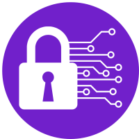 Cyber Security icon (1)